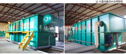 德源食品深加工產(chǎn)業(yè)鏈 從源頭到出口的精細(xì)化與可持續(xù)發(fā)展之路